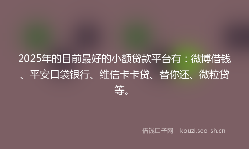 2025年的目前最好的小额贷款平台有：微博借钱、平安口袋银行、维信卡卡贷、替你还、微粒贷等。