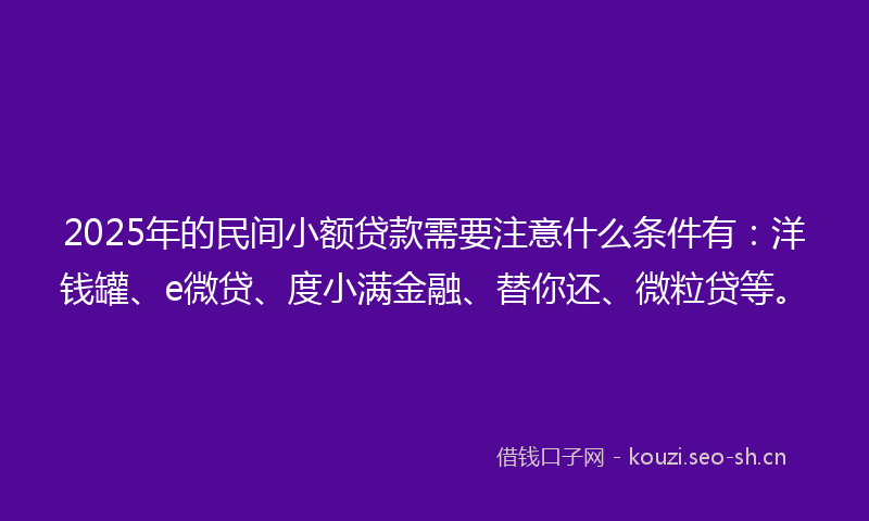 2025年的民间小额贷款需要注意什么条件有：洋钱罐、e微贷、度小满金融、替你还、微粒贷等。