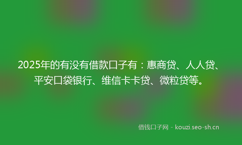 2025年的有没有借款口子有：惠商贷、人人贷、平安口袋银行、维信卡卡贷、微粒贷等。