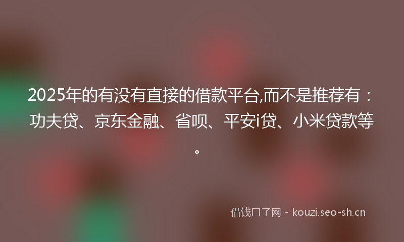 2025年的有没有直接的借款平台,而不是推荐有：功夫贷、京东金融、省呗、平安i贷、小米贷款等。