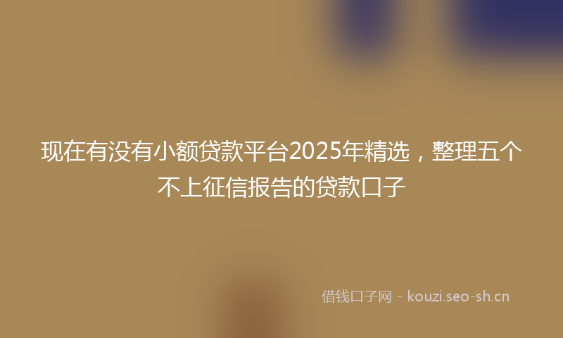 现在有没有小额贷款平台2025年精选，整理五个不上征信报告的贷款口子