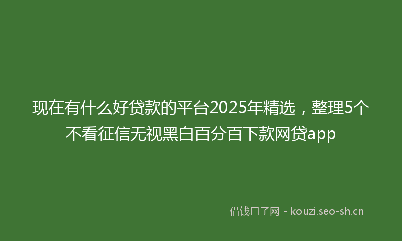 现在有什么好贷款的平台2025年精选，整理5个不看征信无视黑白百分百下款网贷app