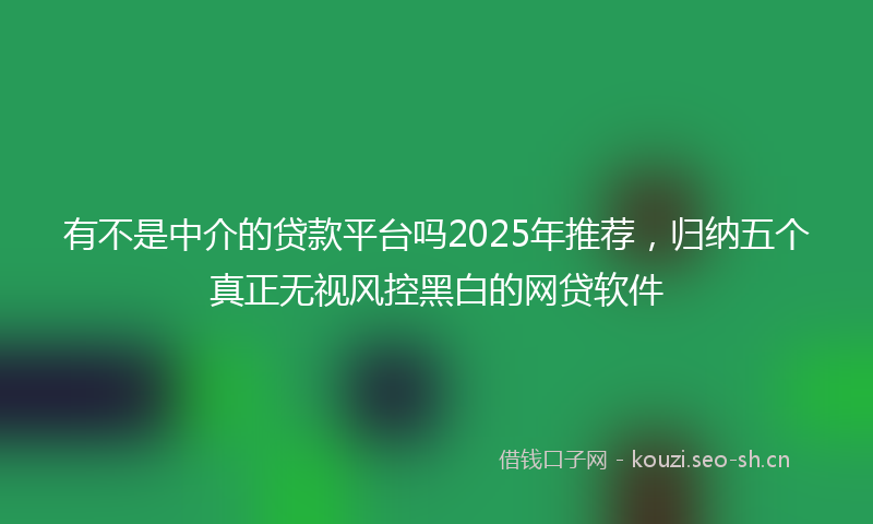 有不是中介的贷款平台吗2025年推荐，归纳五个真正无视风控黑白的网贷软件
