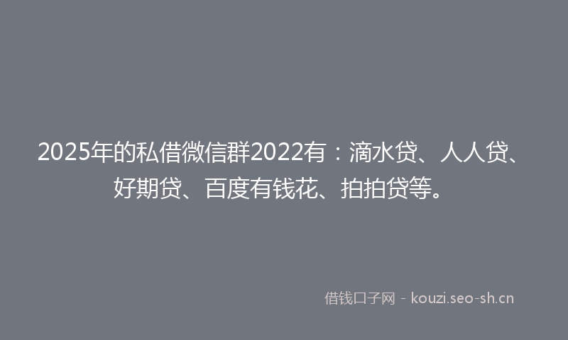 2025年的私借微信群2022有：滴水贷、人人贷、好期贷、百度有钱花、拍拍贷等。