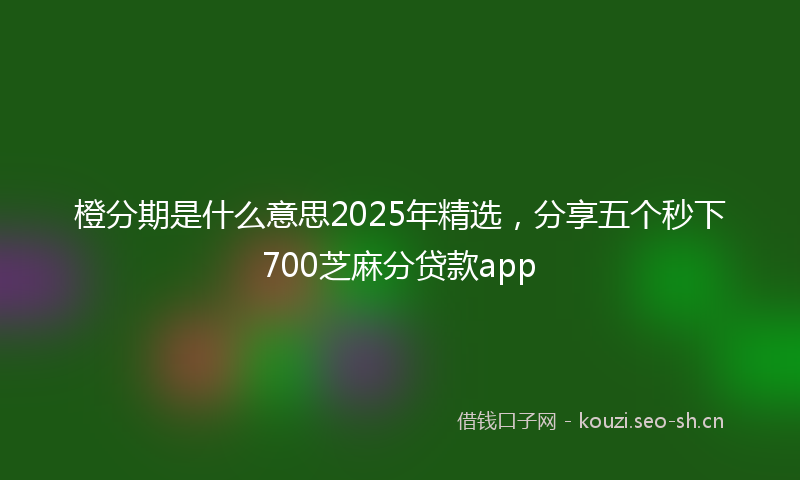 橙分期是什么意思2025年精选，分享五个秒下700芝麻分贷款app