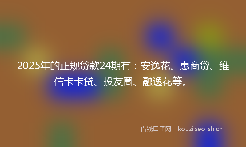 2025年的正规贷款24期有：安逸花、惠商贷、维信卡卡贷、投友圈、融逸花等。