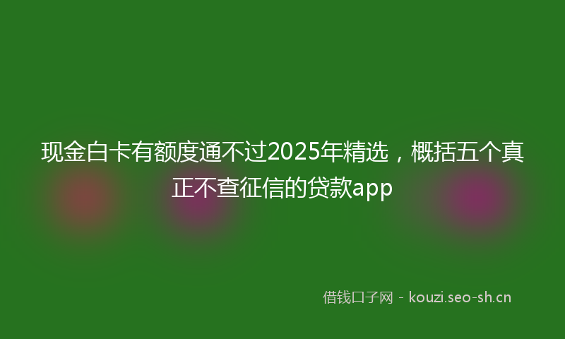 现金白卡有额度通不过2025年精选,概括五个真正不查征信的贷款app
