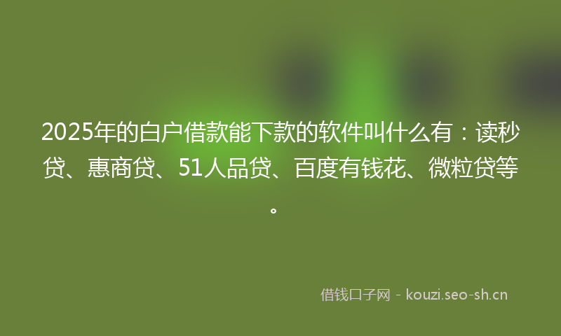 2025年的白户借款能下款的软件叫什么有：读秒贷、惠商贷、51人品贷、百度有钱花、微粒贷等。