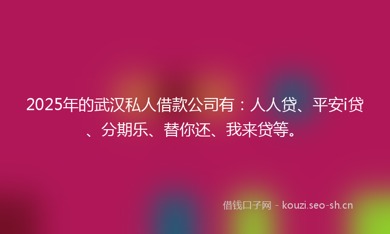 2025年的武汉私人借款公司有:人人贷、平安i贷、分期乐、替你还、我来贷等。