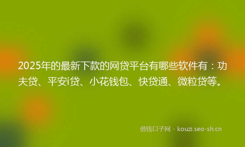 2025年的最新下款的网贷平台有哪些软件有：功夫贷、平安i贷、小花钱包、快贷通、微粒贷等。