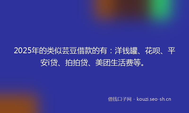 2025年的类似芸豆借款的有：洋钱罐、花呗、平安i贷、拍拍贷、美团生活费等。