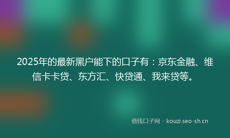 2025年的最新黑户能下的口子有：京东金融、维信卡卡贷、东方汇、快贷通、我来贷等。