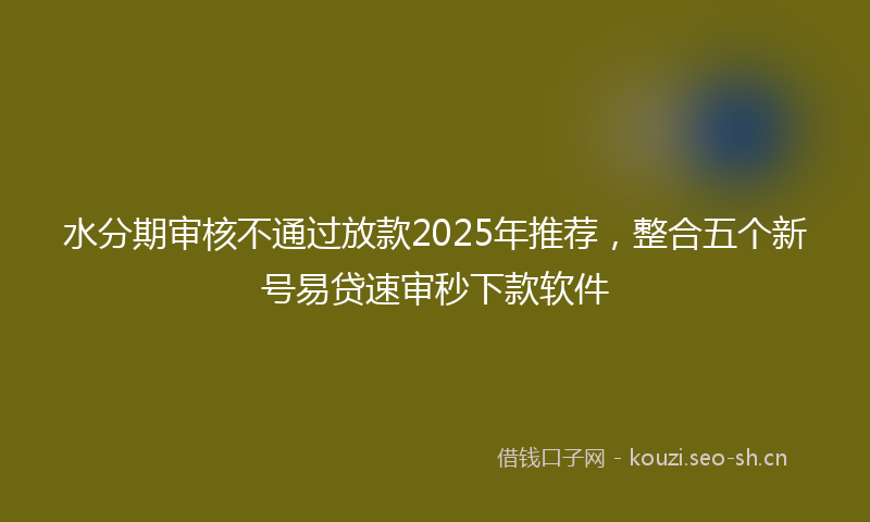 水分期审核不通过放款2025年推荐，整合五个新号易贷速审秒下款软件