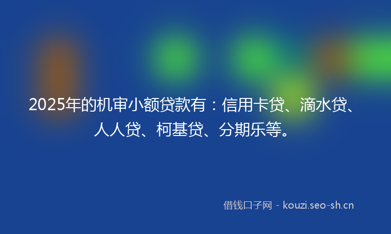 2025年的机审小额贷款有：信用卡贷、滴水贷、人人贷、柯基贷、分期乐等。