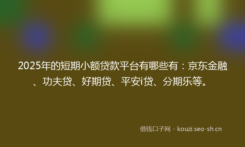 2025年的短期小额贷款平台有哪些有：京东金融、功夫贷、好期贷、平安i贷、分期乐等。