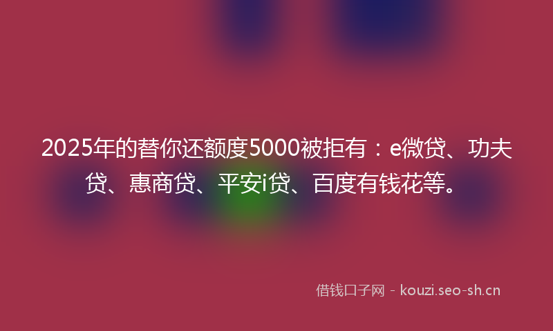 2025年的替你还额度5000被拒有：e微贷、功夫贷、惠商贷、平安i贷、百度有钱花等。