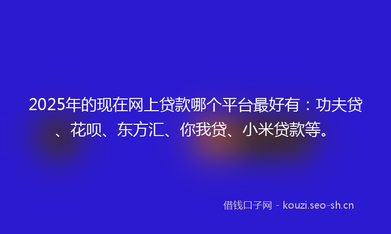 2025年的现在网上贷款哪个平台最好有:功夫贷、花呗、东方汇、你我贷、小米贷款等。
