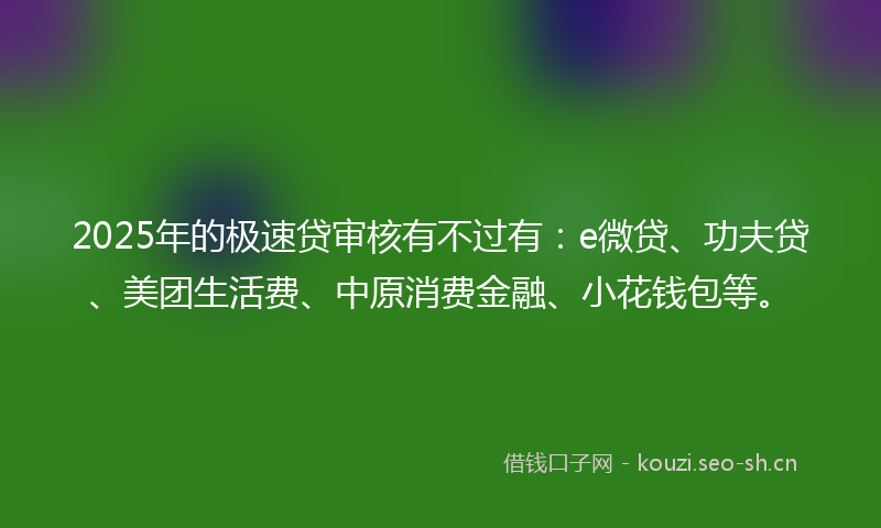 2025年的极速贷审核有不过有：e微贷、功夫贷、美团生活费、中原消费金融、小花钱包等。