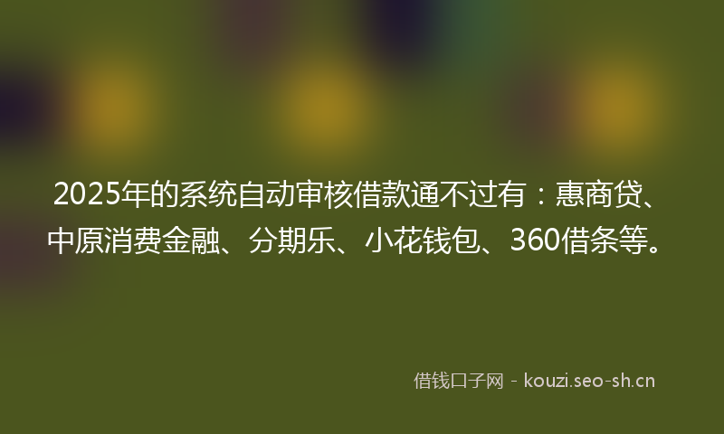 2025年的系统自动审核借款通不过有：惠商贷、中原消费金融、分期乐、小花钱包、360借条等。