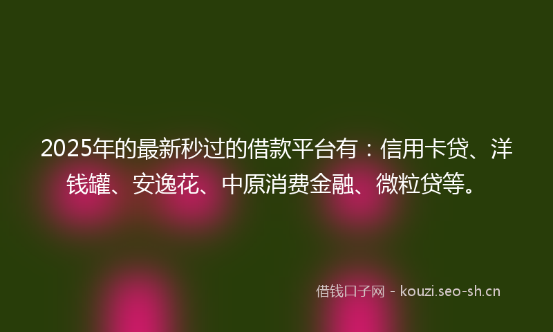 2025年的最新秒过的借款平台有：信用卡贷、洋钱罐、安逸花、中原消费金融、微粒贷等。