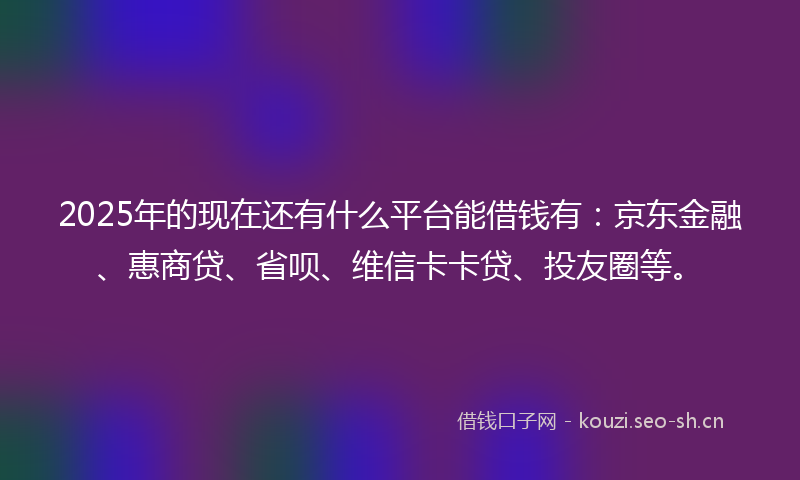 2025年的现在还有什么平台能借钱有：京东金融、惠商贷、省呗、维信卡卡贷、投友圈等。