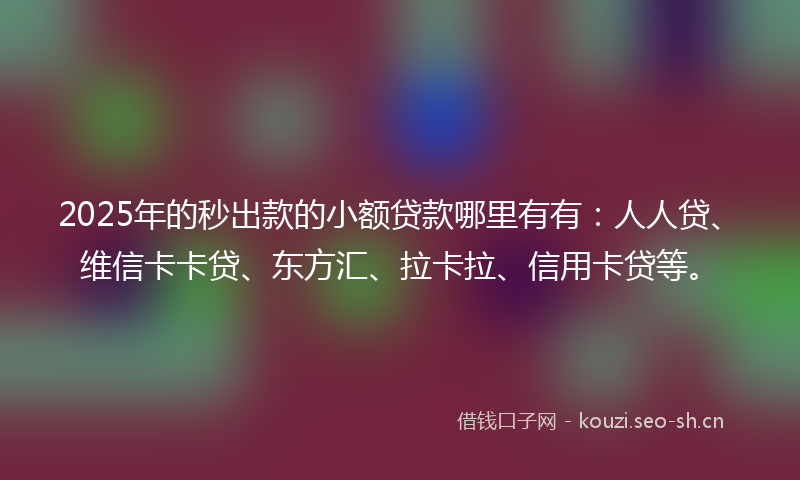 2025年的秒出款的小额贷款哪里有有:人人贷、维信卡卡贷、东方汇、拉卡拉、信用卡贷等。
