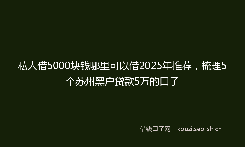 私人借5000块钱哪里可以借2025年推荐，梳理5个苏州黑户贷款5万的口子