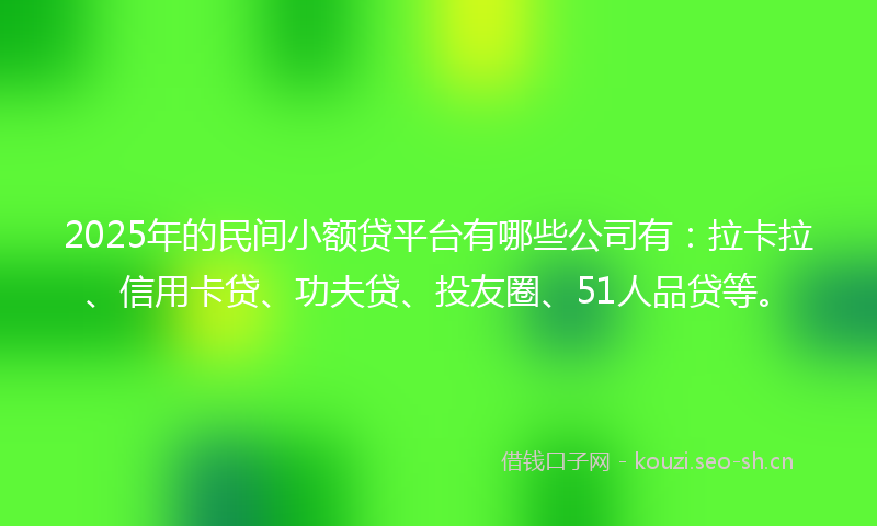 2025年的民间小额贷平台有哪些公司有：拉卡拉、信用卡贷、功夫贷、投友圈、51人品贷等。
