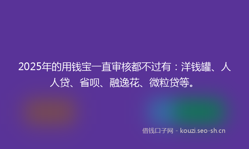 2025年的用钱宝一直审核都不过有：洋钱罐、人人贷、省呗、融逸花、微粒贷等。
