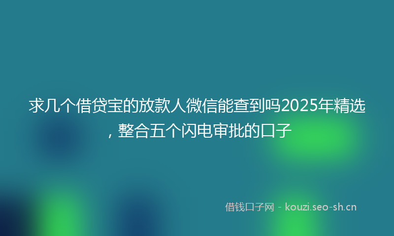 求几个借贷宝的放款人微信能查到吗2025年精选，整合五个闪电审批的口子