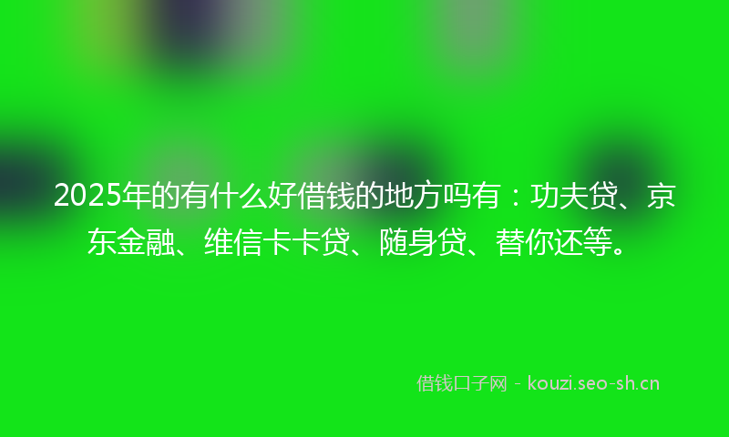 2025年的有什么好借钱的地方吗有：功夫贷、京东金融、维信卡卡贷、随身贷、替你还等。
