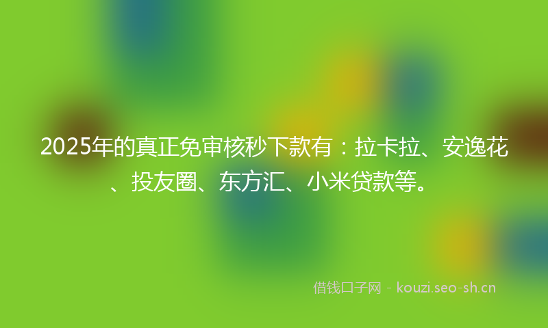 2025年的真正免审核秒下款有：拉卡拉、安逸花、投友圈、东方汇、小米贷款等。