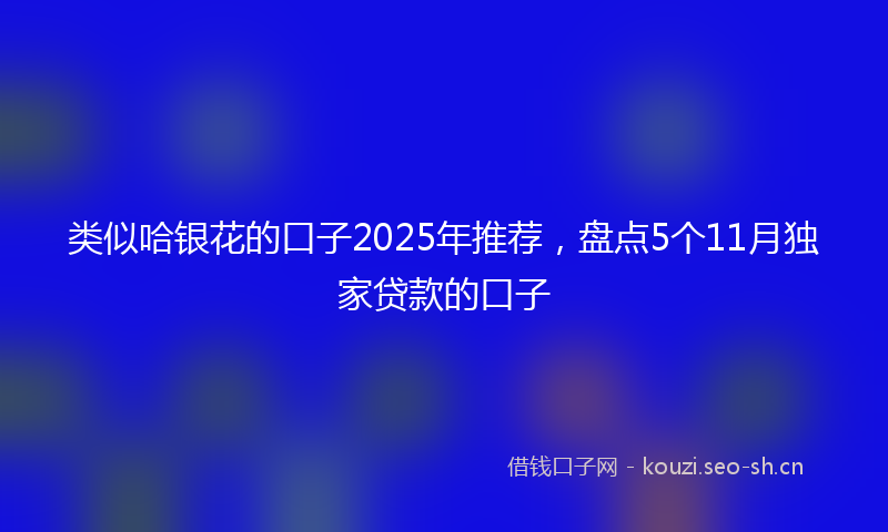 类似哈银花的口子2025年推荐，盘点5个11月独家贷款的口子