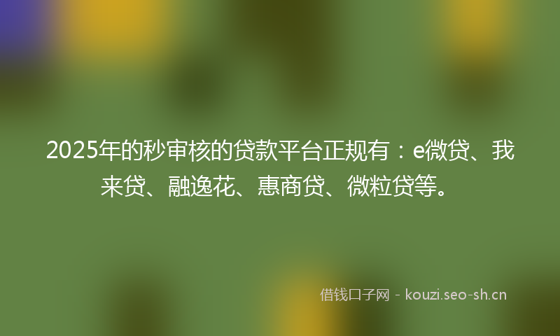 2025年的秒审核的贷款平台正规有：e微贷、我来贷、融逸花、惠商贷、微粒贷等。