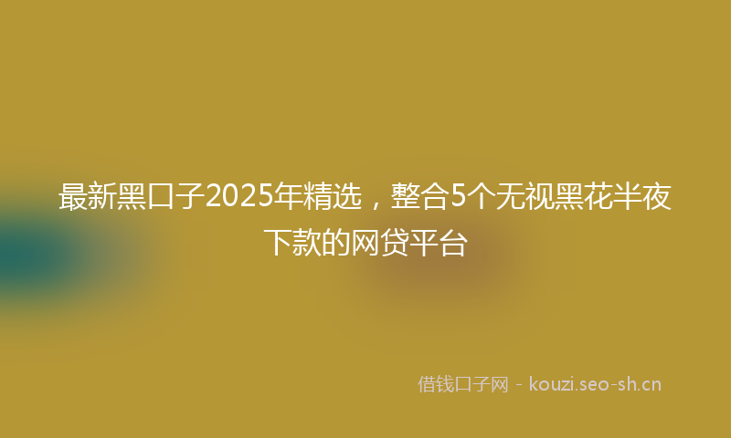 最新黑口子2025年精选,整合5个无视黑花半夜下款的网贷平台