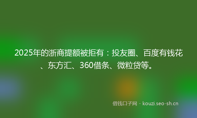 2025年的浙商提额被拒有：投友圈、百度有钱花、东方汇、360借条、微粒贷等。