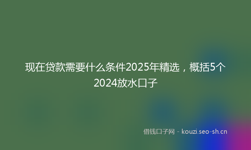 现在贷款需要什么条件2025年精选，概括5个2024放水口子