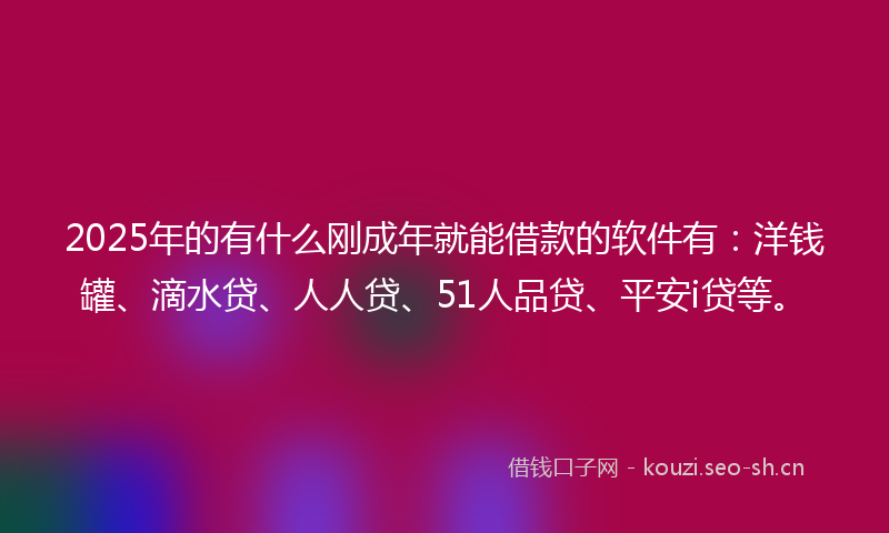 2025年的有什么刚成年就能借款的软件有：洋钱罐、滴水贷、人人贷、51人品贷、平安i贷等。
