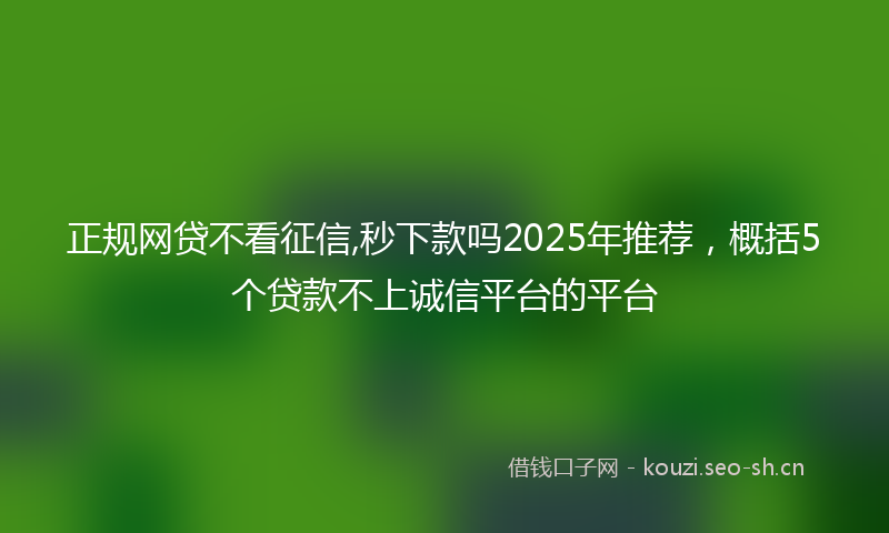 正规网贷不看征信,秒下款吗2025年推荐，概括5个贷款不上诚信平台的平台