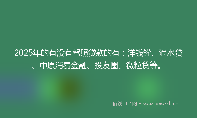 2025年的有没有驾照贷款的有：洋钱罐、滴水贷、中原消费金融、投友圈、微粒贷等。