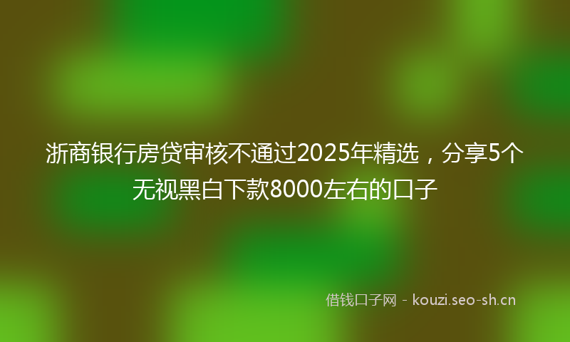 浙商银行房贷审核不通过2025年精选，分享5个无视黑白下款8000左右的口子