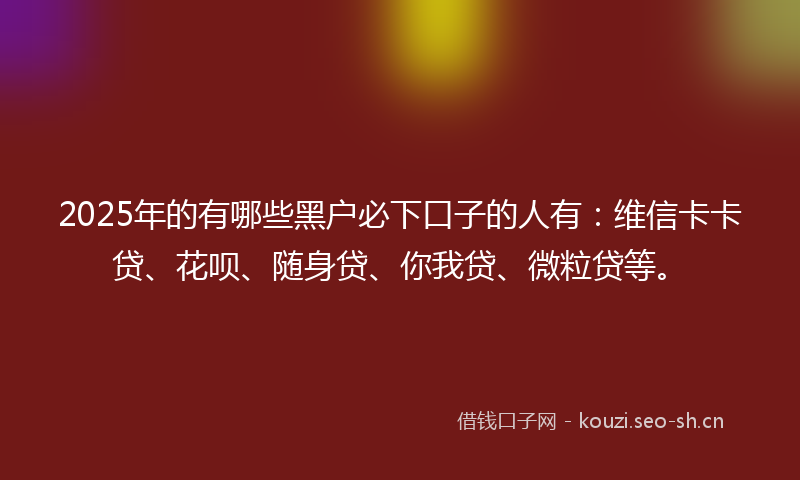 2025年的有哪些黑户必下口子的人有：维信卡卡贷、花呗、随身贷、你我贷、微粒贷等。