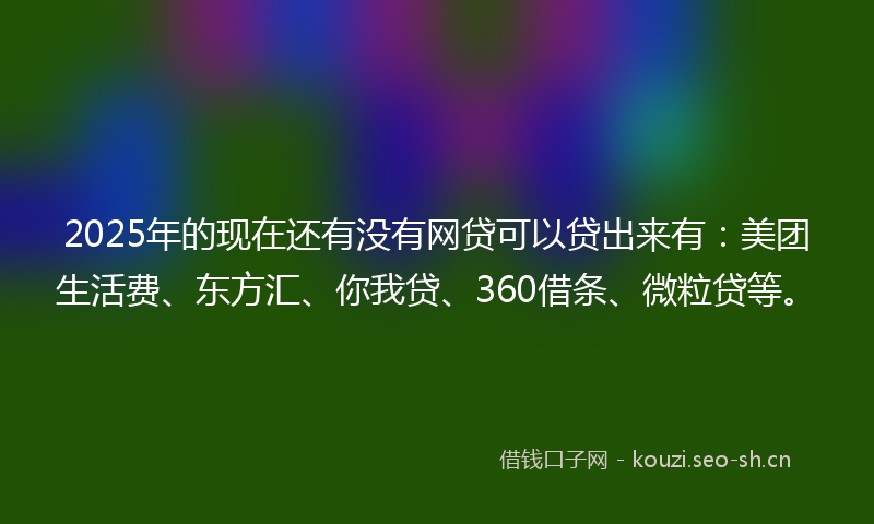 2025年的现在还有没有网贷可以贷出来有：美团生活费、东方汇、你我贷、360借条、微粒贷等。