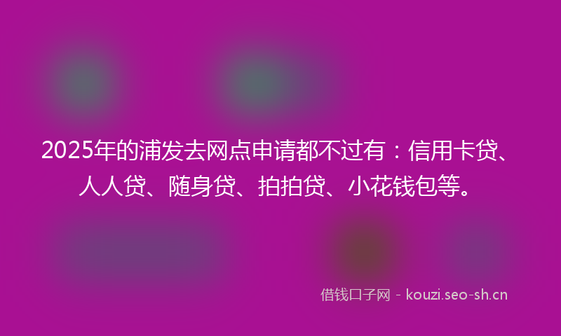 2025年的浦发去网点申请都不过有：信用卡贷、人人贷、随身贷、拍拍贷、小花钱包等。