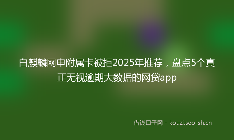 白麒麟网申附属卡被拒2025年推荐，盘点5个真正无视逾期大数据的网贷app