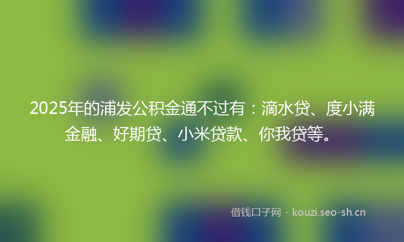 2025年的浦发公积金通不过有：滴水贷、度小满金融、好期贷、小米贷款、你我贷等。
