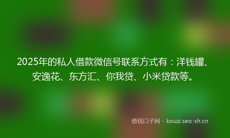 2025年的私人借款微信号联系方式有：洋钱罐、安逸花、东方汇、你我贷、小米贷款等。