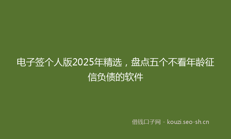 电子签个人版2025年精选，盘点五个不看年龄征信负债的软件