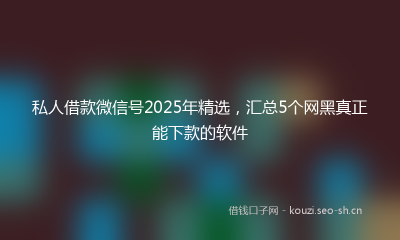 私人借款微信号2025年精选,汇总5个网黑真正能下款的软件