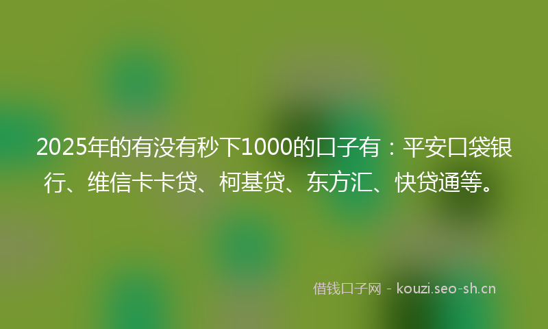 2025年的有没有秒下1000的口子有：平安口袋银行、维信卡卡贷、柯基贷、东方汇、快贷通等。